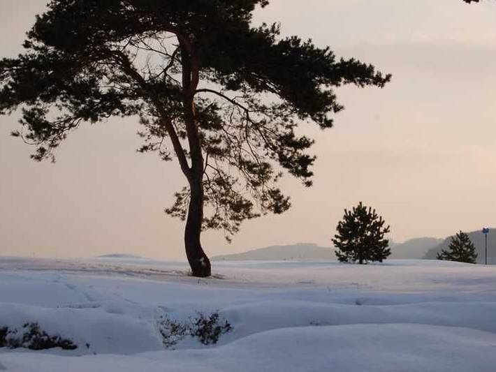Ferienwohnung für 4 Personen in Binz - 4