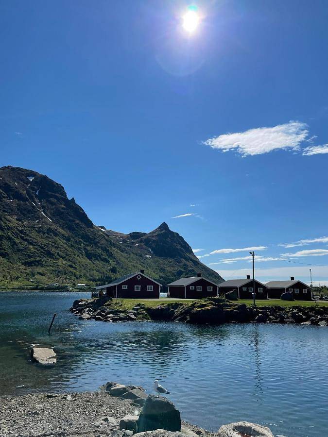 Lofoten Fjordcamp in Vestvågøy