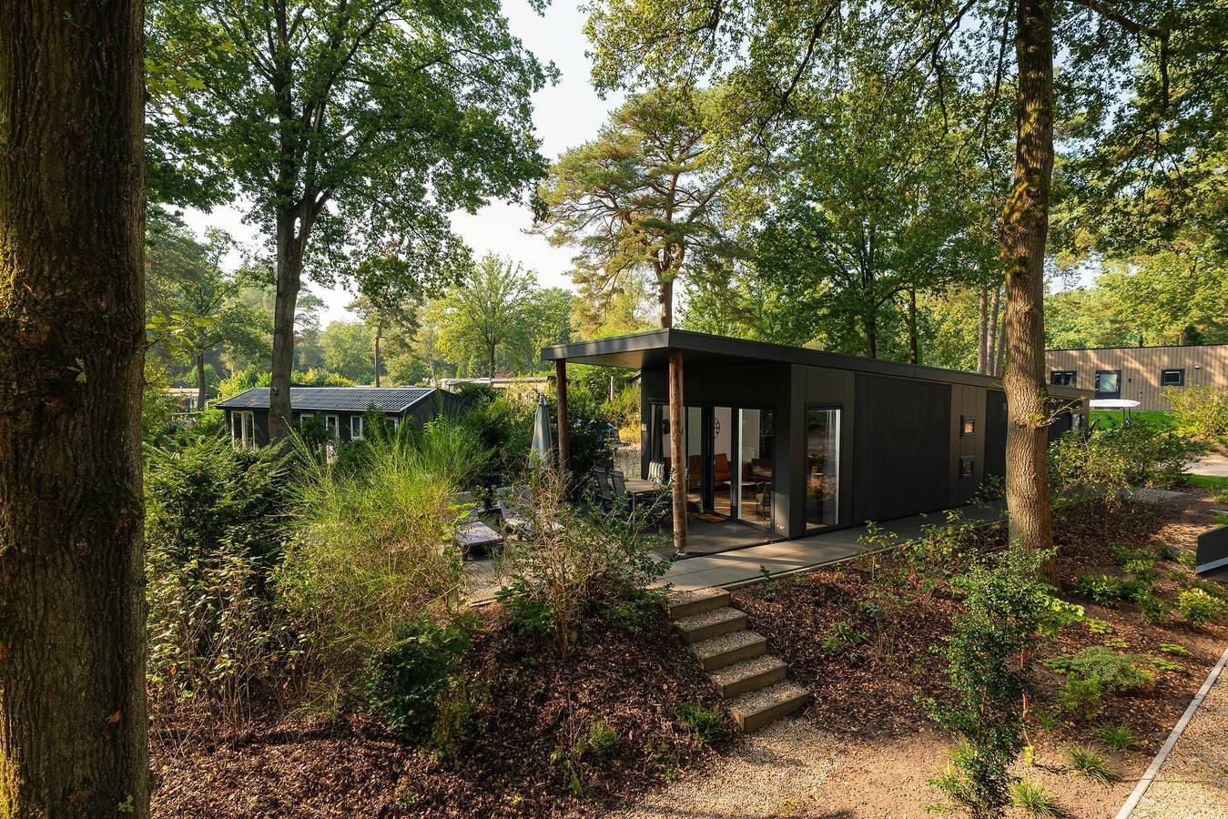 Veluwepark de Bosgraaf — Zand Lodge Komfort | 6 personen  in Veluwe