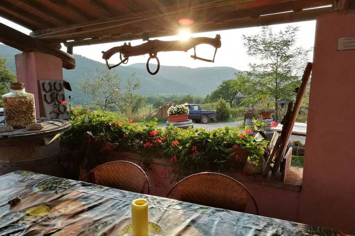 Agriturismo per 5 persone, con giardino e terrazza in Radda in Chianti