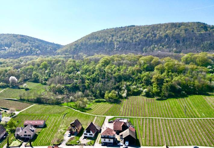 Location de vacances pour 10 personnes, avec vue et balcon à Gueberschwihr - 2