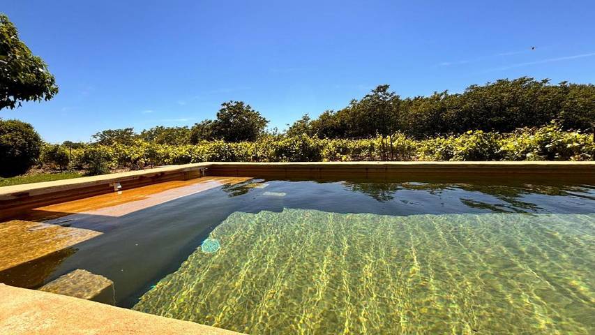 Location de vacances pour 12 personnes, avec Terrasse et Jardin ainsi que Piscine et Vue à Saint-Pierre-de-Vassols