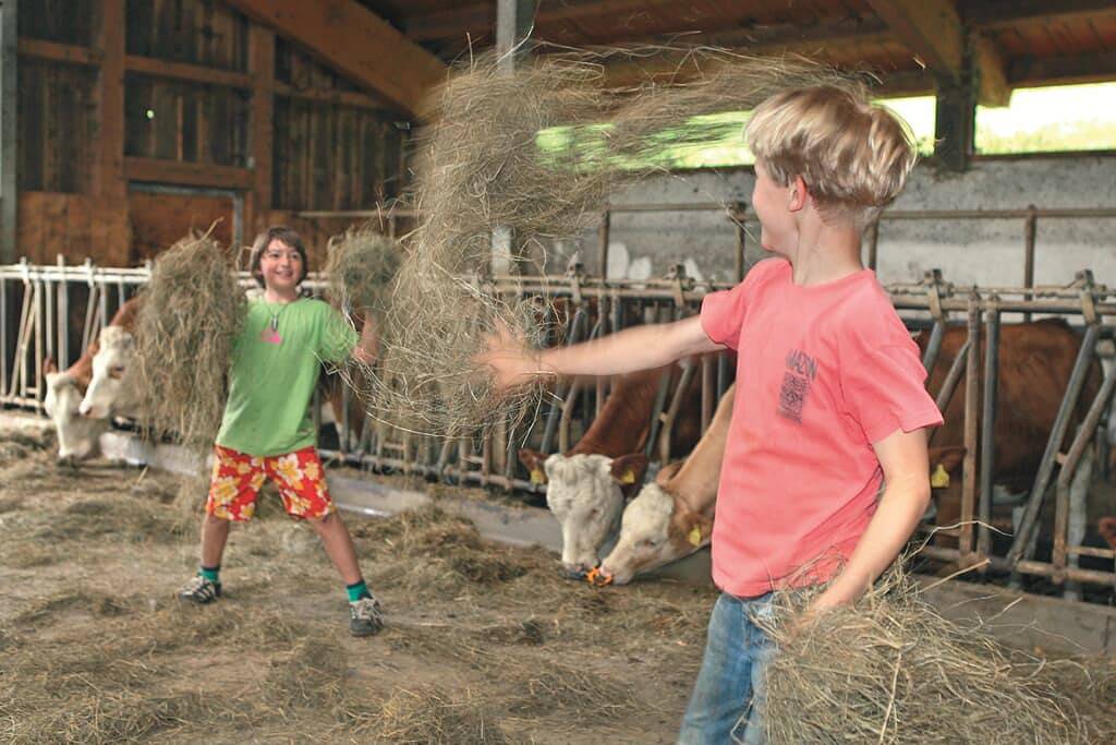 Balsnhof - Ferienwohnung Bauerngarten (70qm) mit Sonnenterrasse in Chamerau, Ostbayern