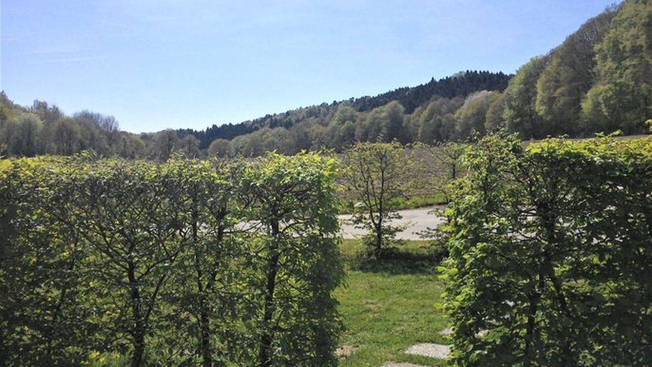 Geheel vakantieappartement, Vakantieappartement voor 3 personen met tuin in Tecklenburg, Münsterland