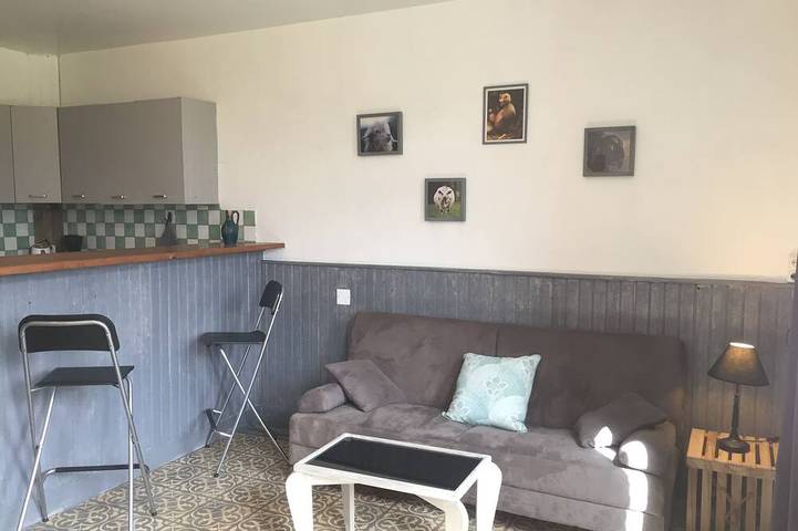 Gîte pour 5 personnes, avec jardin à Langon (Loir-et-Cher) - 3