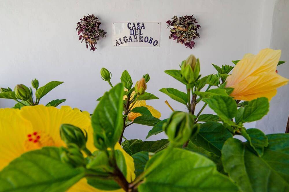 Spectacular villa South of Spain sleeps 10 in Canillas de Aceituno, Provincia de Málaga