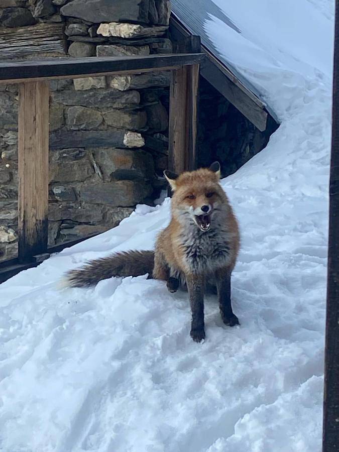Gîte pour 15 personnes, avec jardin ainsi que terrasse et vue, animaux acceptés à La Grave - 2