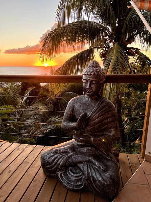 Location de vacances pour 8 personnes, avec jardin ainsi que piscine et vue à Gourbeyre - 3