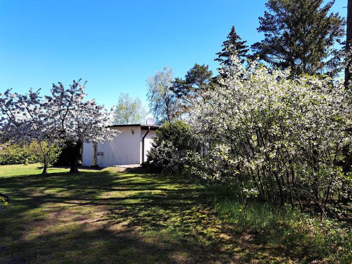 Ferienhaus für 2 Personen, mit Garten und Terrasse, mit Haustier im Stettiner Haff - 3