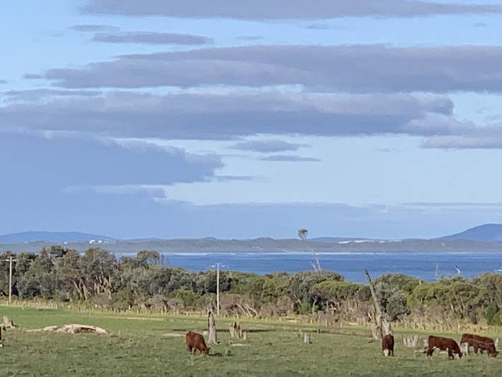 Maison de vacances pour 15 personnes, avec jardin et balcon - 1