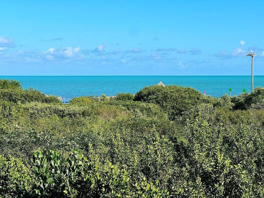 Ganze Wohnung, Beautifully Designed Oceanfront Condo in Tavernier, Monroe County