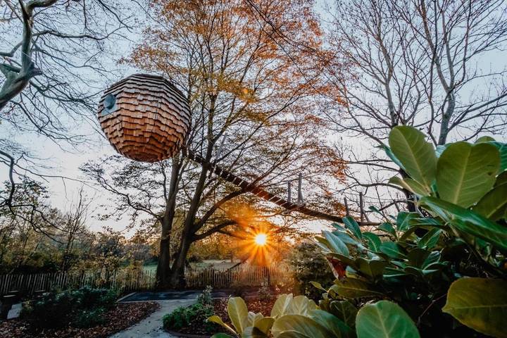 Tente pour 2 personnes, avec jardin dans Département Nord - 2
