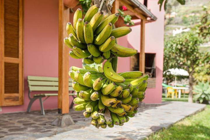 Ferienhaus für 4 Personen, mit Garten, mit Haustier auf La Gomera - 4