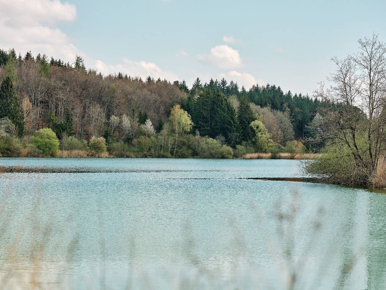 Ferienhäuser Fischer Wagenhausen - Luxus Chalet mit Whirlpool, Nr. 7a, Doppelhaus, 60qm, 2 Schlafzimmer, Indoor-Infrarotkabine, max. 4 Personen in Bad Saulgau, Region Bodensee-Oberschwaben