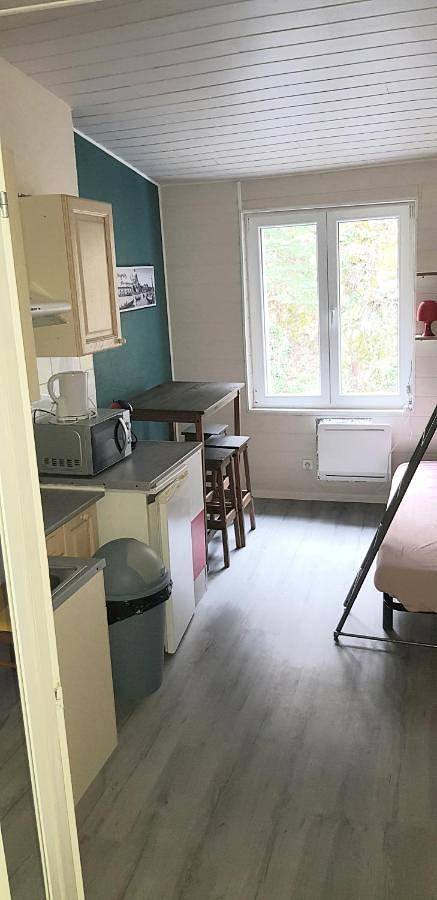 Appartement entier, L'Hermitage - piscine et mini golf in Saint-Nectaire, Parc naturel régional des Volcans d'Auvergne