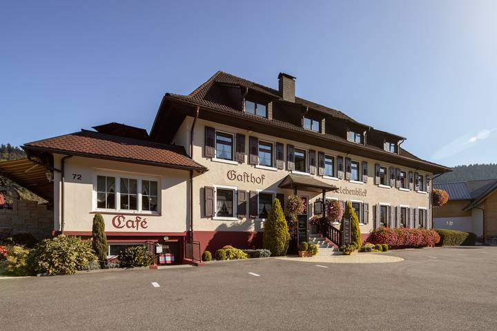 Hôtel pour 2 personnes, avec terrasse à Münstertal - 3