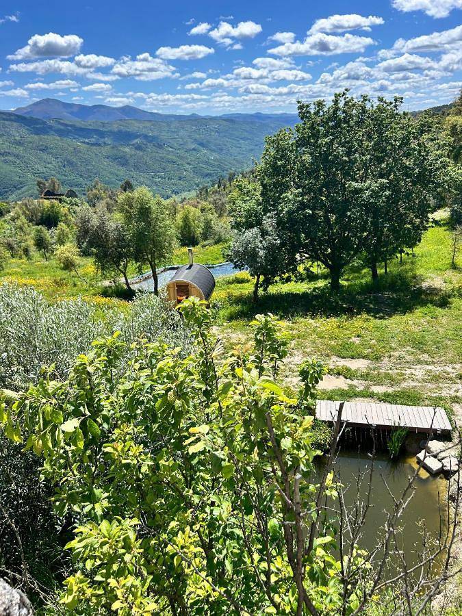 Gîte pour 2 personnes, animaux acceptés à Seia - 2