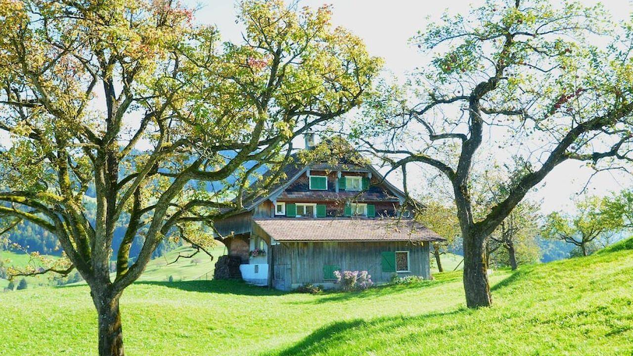 Ferienhaus für 6 Personen (80 m²) in Sattel in Sattel, Schwyz