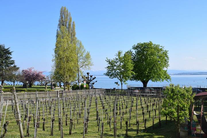 Ganze Ferienwohnung, Ferienhof Mecking - Ferienwohnung, 38qm, 1 Schlafzimmer, 1 Wohn-/ Schlafzimmer, max. 4 Personen in Hagnau am Bodensee, Region Bodensee-Oberschwaben