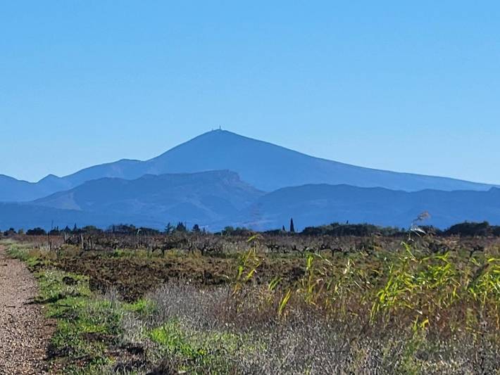 Location de vacances pour 2 personnes à Sérignan-du-Comtat - 3