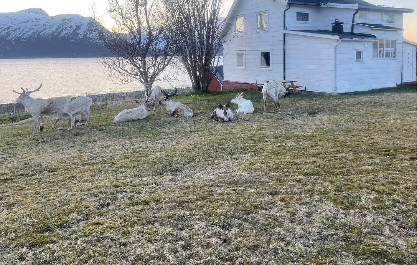 Ferienhaus für 6 Personen mit Garten in Tromsø