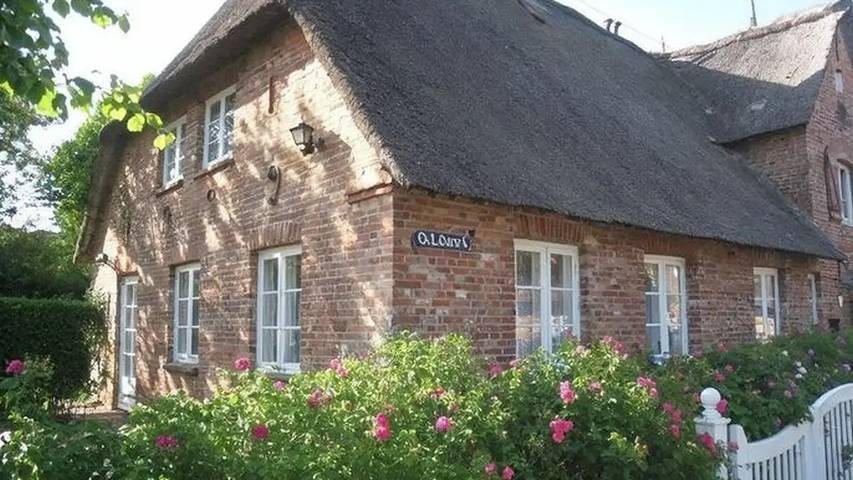 Ferienwohnung für 4 Personen, mit Garten und Sauna, mit Haustier - 1