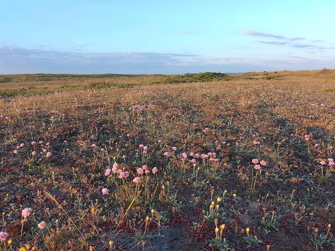 8 Personen Ferienhaus in Fjerritslev-By Traum in Thorup Strand, Jammerbugt