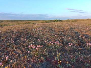 Ferieudlejning til 8 Personer i Fjerritslev, Nordwestjütland, Billede 4