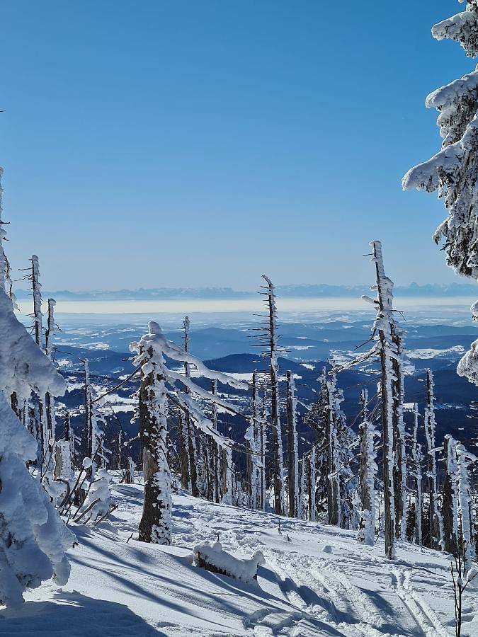 Ferienhaus für 6 Personen, mit Terrasse und Garten in Sankt Oswald-Riedlhütte - 4