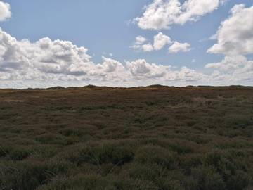 Vakantiehuis voor 6 Personen in Henne Strand, Noordzee Denemarken, Afbeelding 4