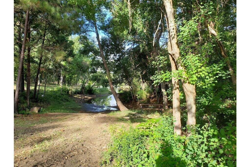 Toledo bend lake view home quiet neighborhood community boat launch. in Zwolle (USA), Toledo Bend Reservoir