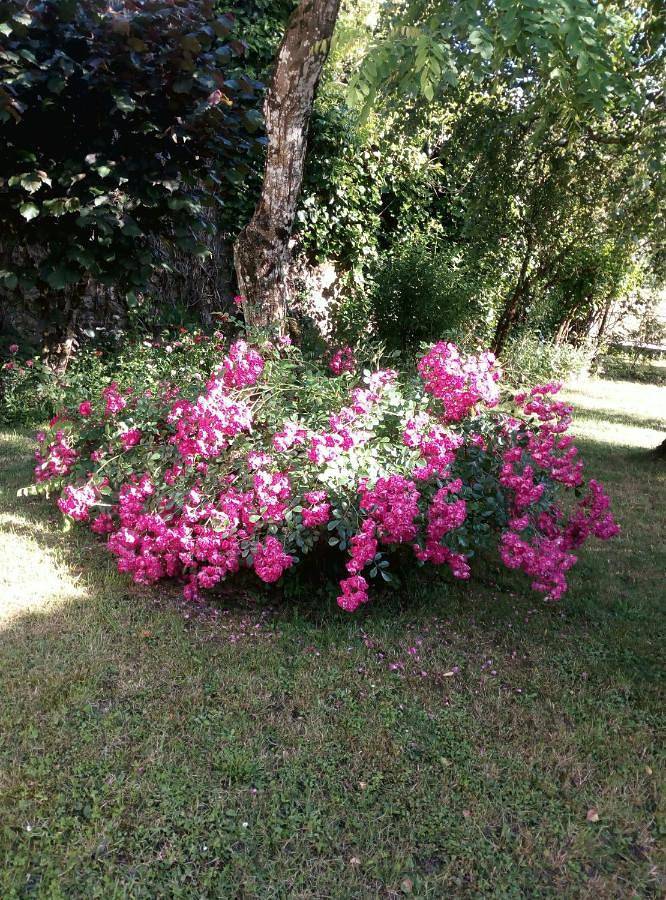 Location de vacances pour 6 personnes, avec terrasse ainsi que jardin et vue à Morlhon-le-Haut - 2