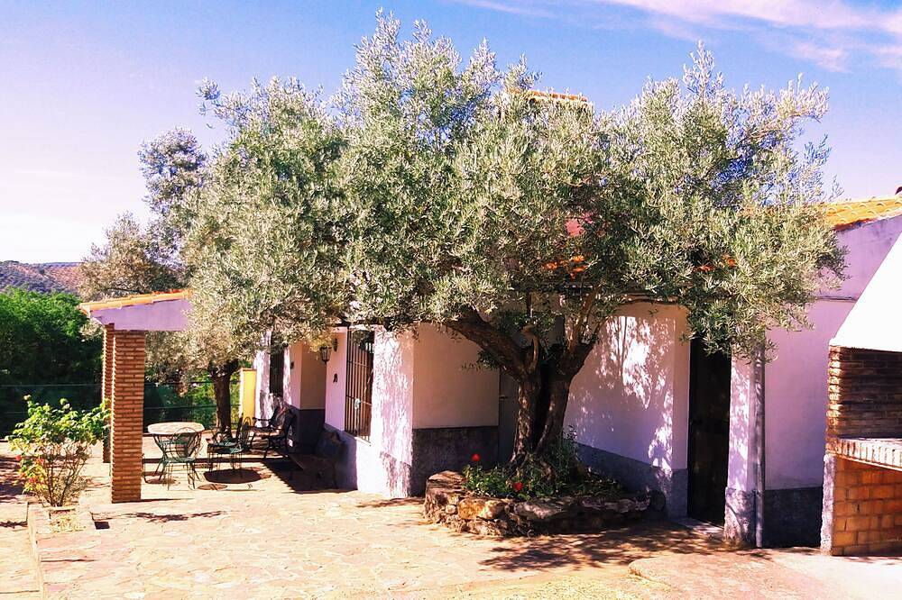 Cortijo tradicional cerca de Córdoba, con piscina y entre olivares. in Pozoblanco, Sierra Morena