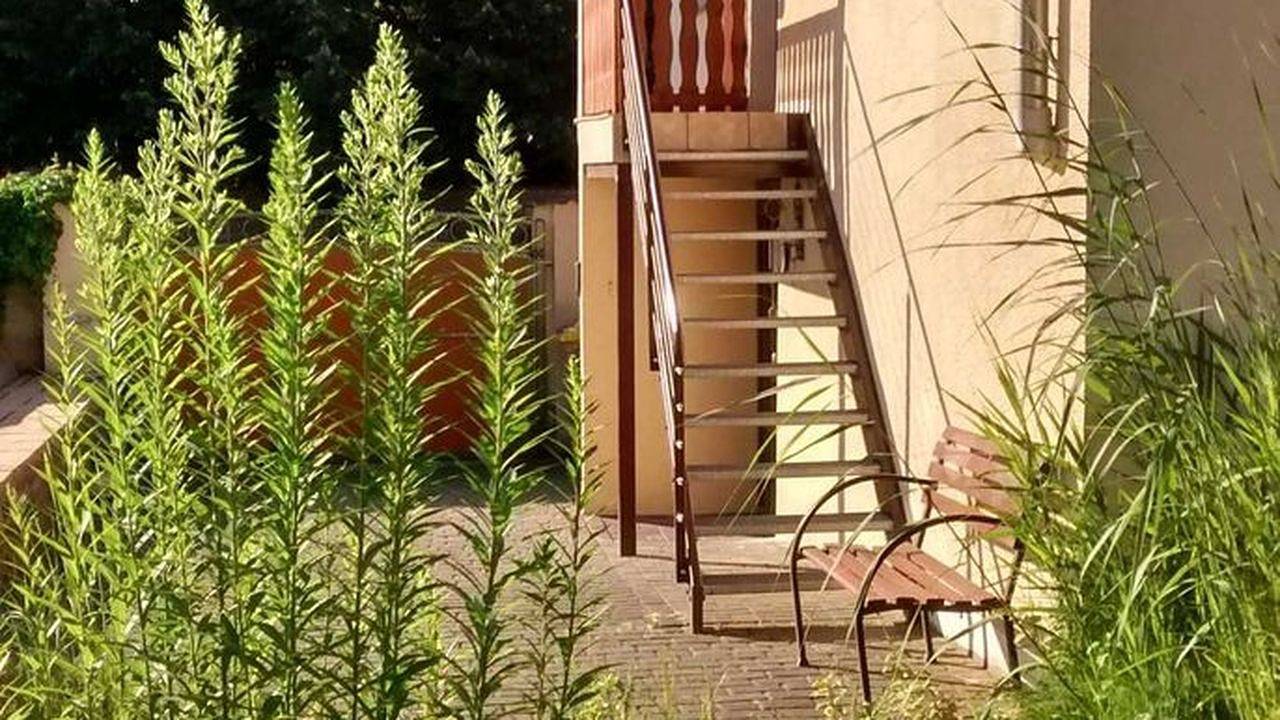 Einzelzimmer für 2 Personen (12 m²) in Magdeburg in Magdebourg, Elbe-Börde-Heide
