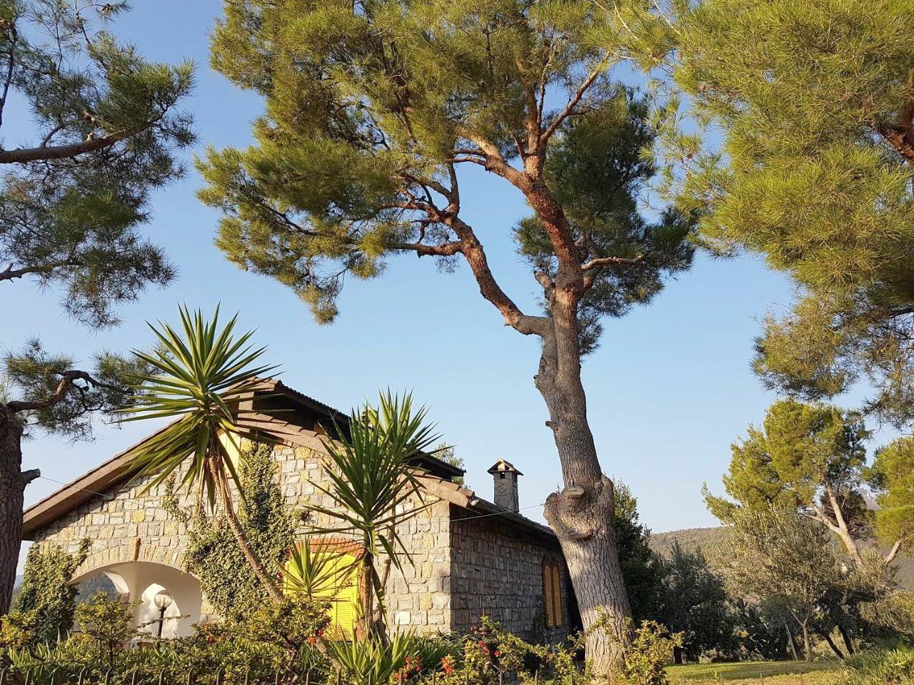 Villa Fior di Lavanda in Cisano sul Neva, Riviera di Ponente