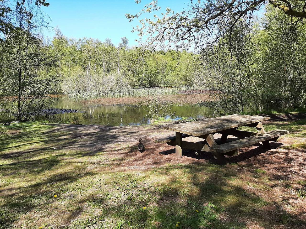 6 person ferie hjemme i Ålbæk in Ålbæk, Nordøst-Jylland