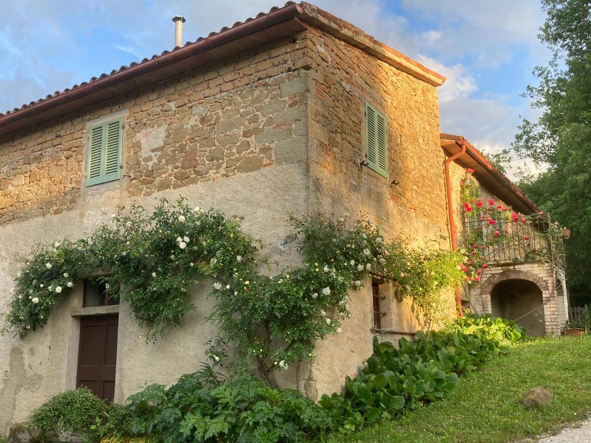 Bargi in Città di Castello (Italia), Valtiberina