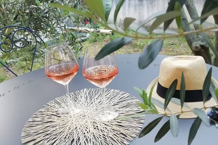 Maison de vacances pour 4 personnes, avec jardin et terrasse, animaux acceptés à Robion