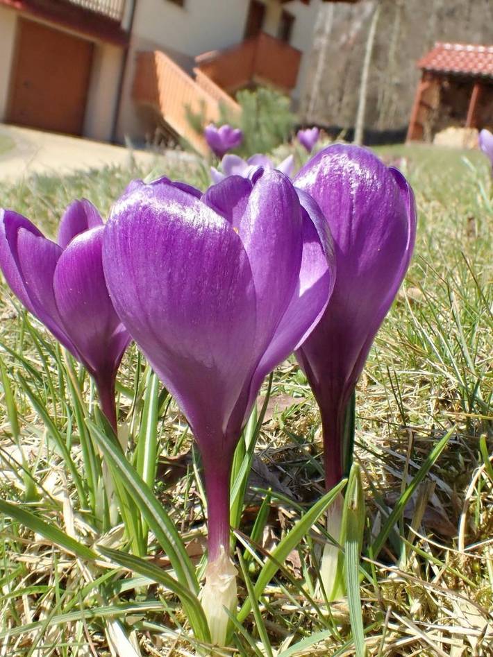 Location de vacances pour 6 personnes, avec jardin à Pcim