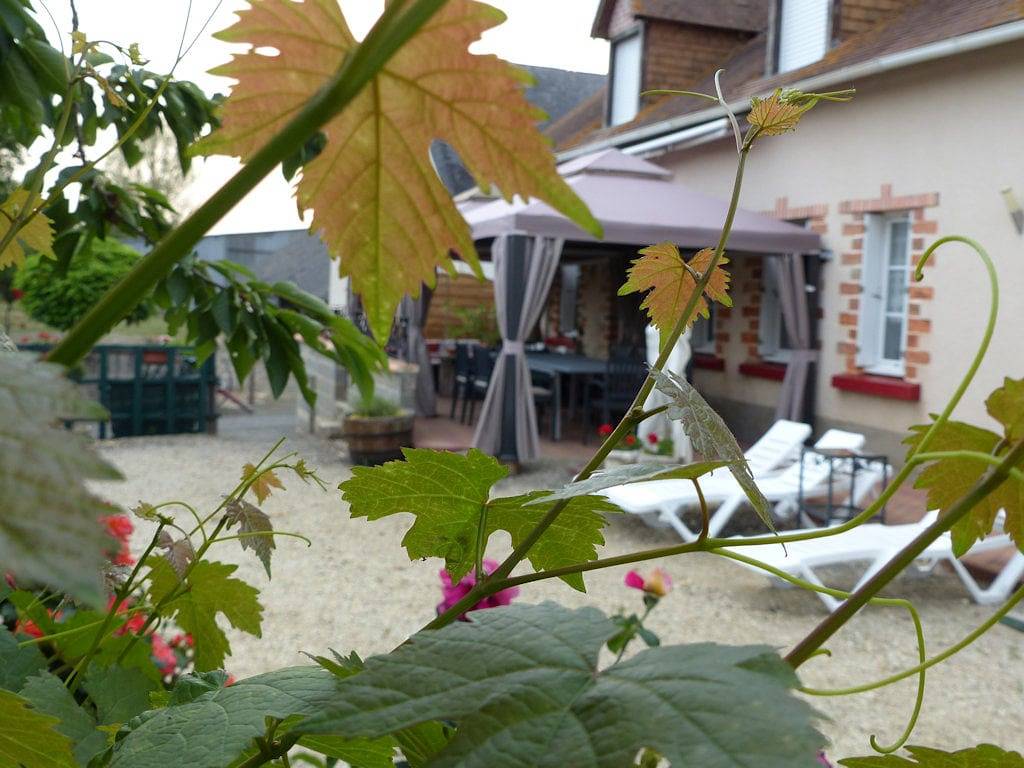 Chambres d'hôtes Les Bourrelières - L'Hirondelle in Durtal, Région d'Angers
