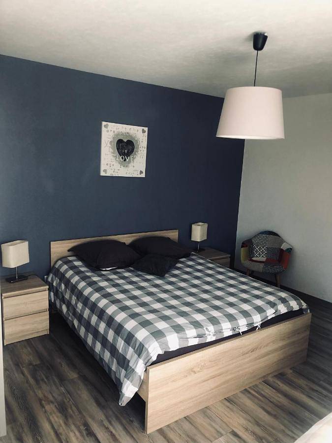 Gîte pour 10 personnes, avec vue et terrasse à Baldenheim - 2