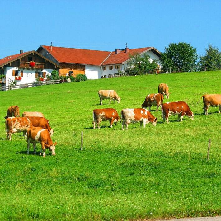 Bauernhaus für 2 Personen, mit Garten, kinderfreundlich in Oberbayern - 2