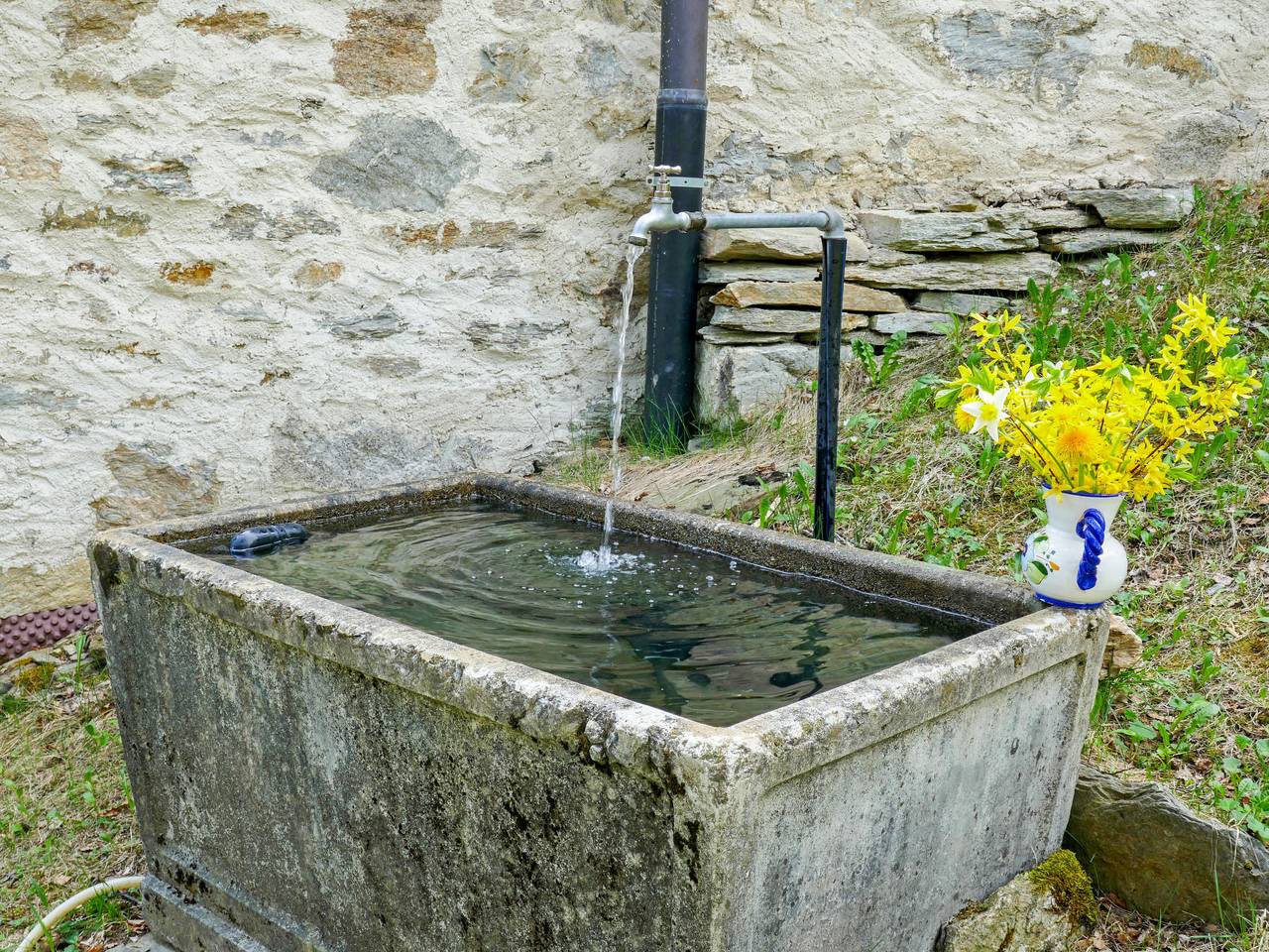 Rustico L'Hibou in Acquarossa, Lepontine Alps