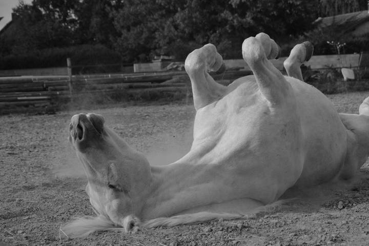 Location de vacances pour 4 personnes, avec terrasse à Marles-en-Brie