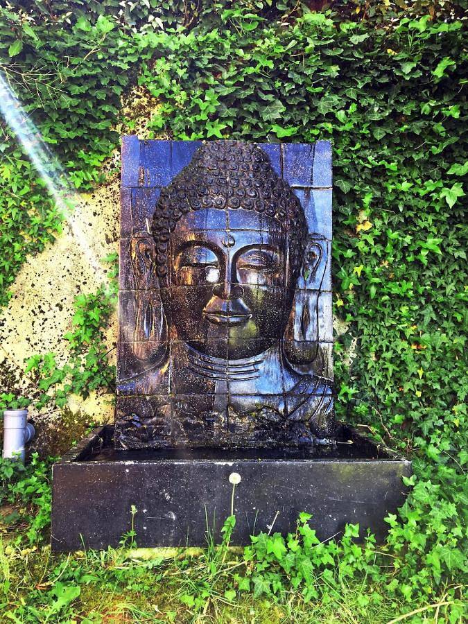 Location de vacances pour 12 personnes à Saint-Rémy (Aveyron) - 2