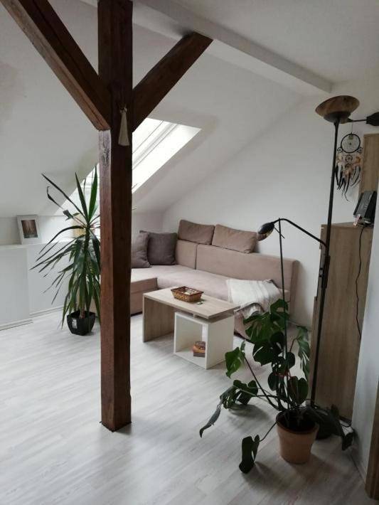 Ganze Wohnung, Apartment with Shower in Altdöbern, Lausitzer Seenland