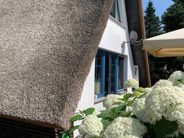 Ferienhaus für 4 Personen, mit Terrasse, kinderfreundlich in Rankwitz