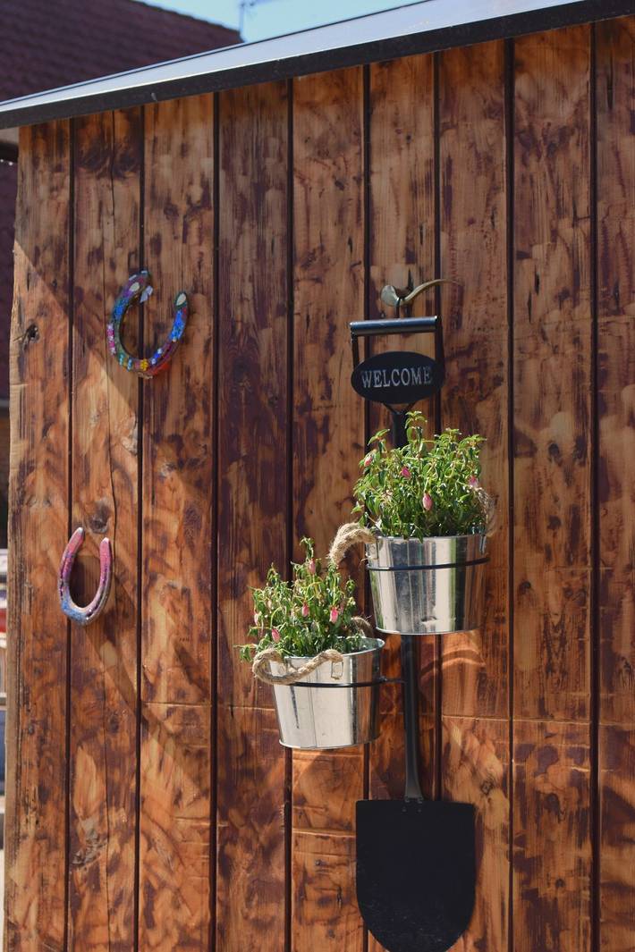 Bauernhof für 3 Personen, mit Garten und Sauna sowie Pool, kinderfreundlich in Holsteinische Schweiz - 2