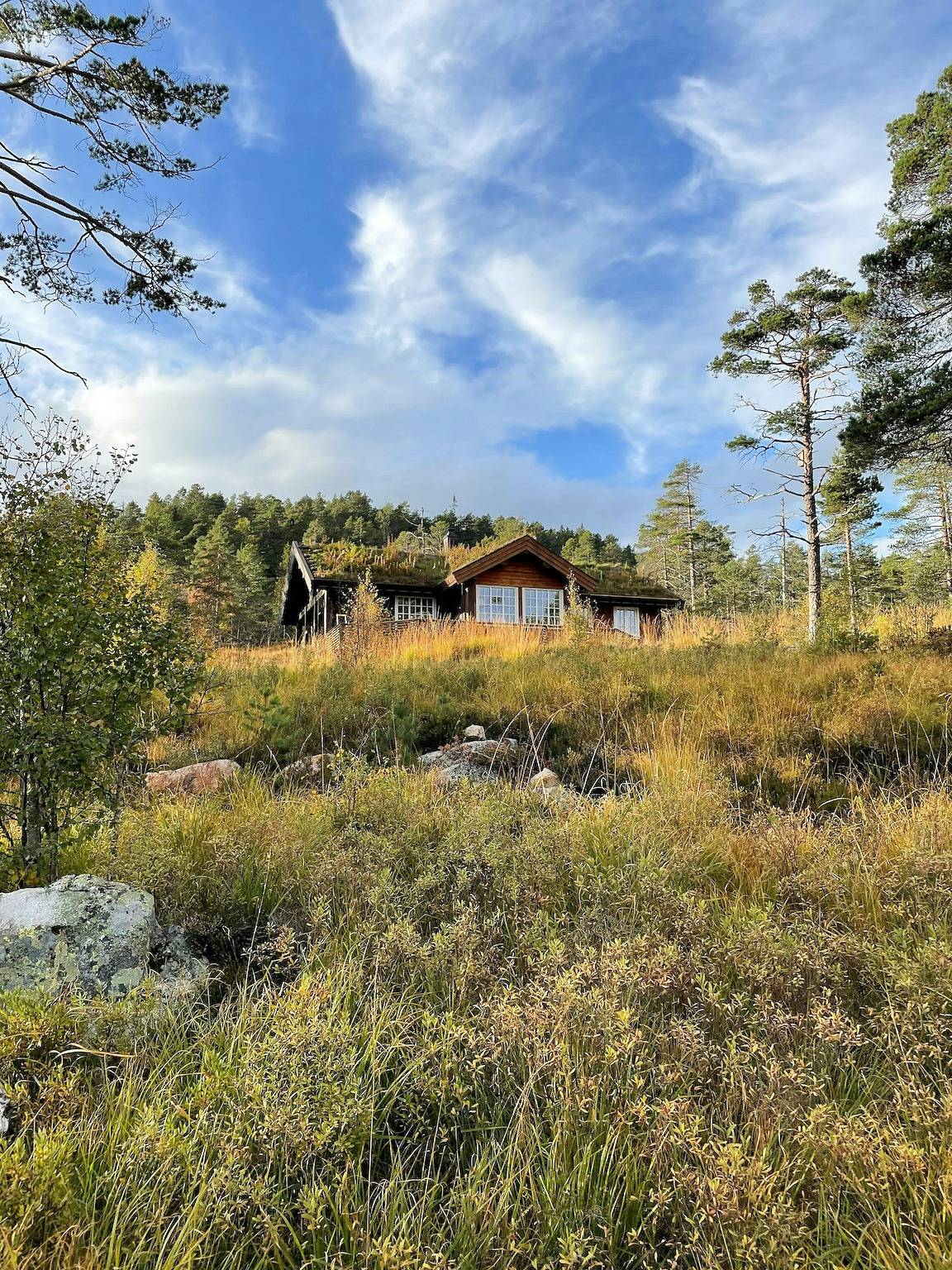 Traditionelle Blockhütte bei Treungen in Nissedal
