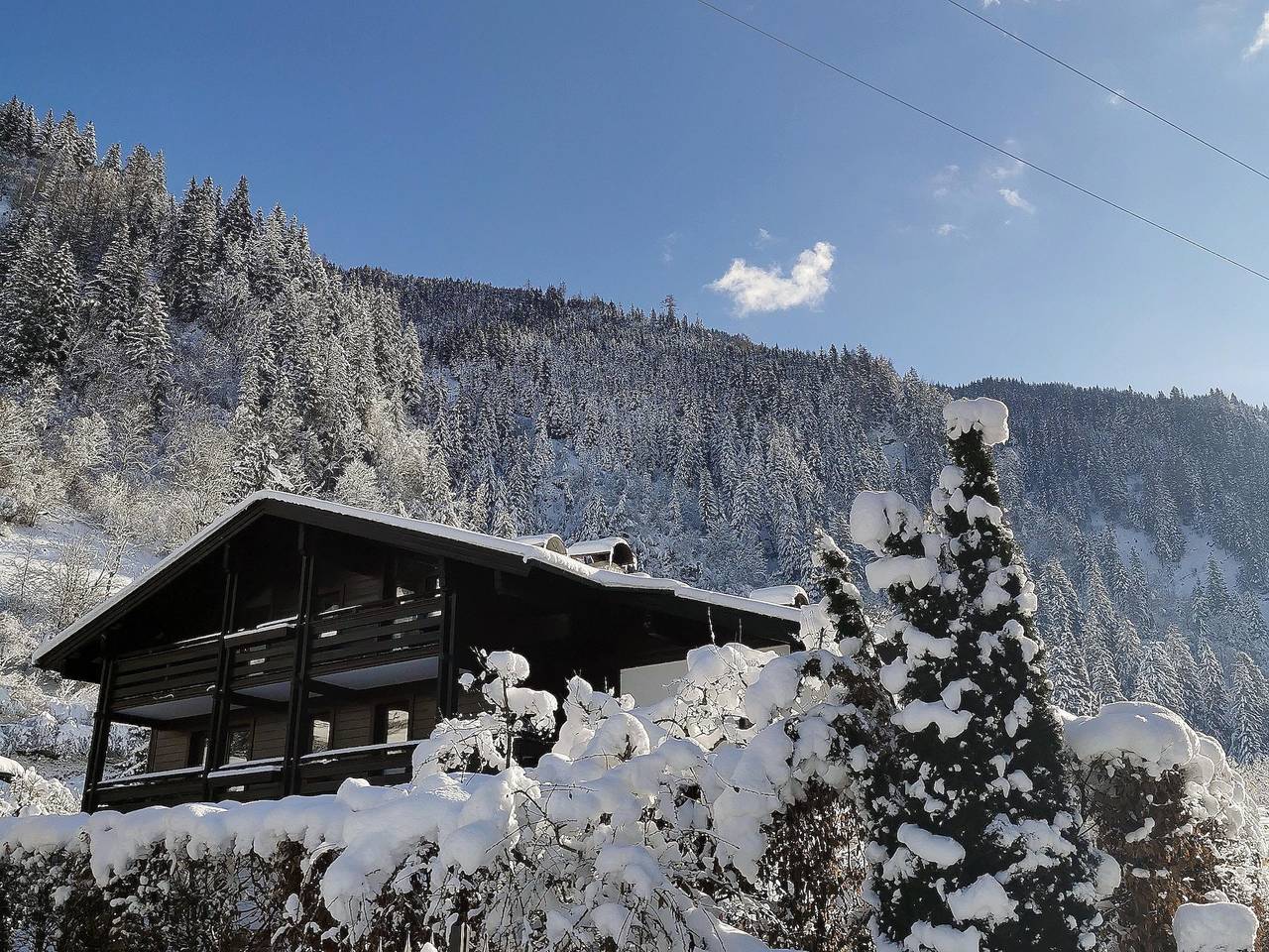 Ganze Ferienwohnung, Ladinger, Landhaus in Dorfgastein, Ski Amadé